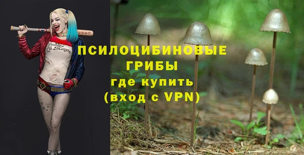 мяу мяу мука Медвежьегорск